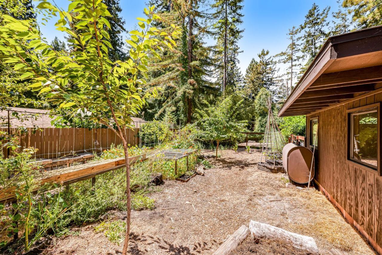 Misty Woods Villa Gualala Dış mekan fotoğraf